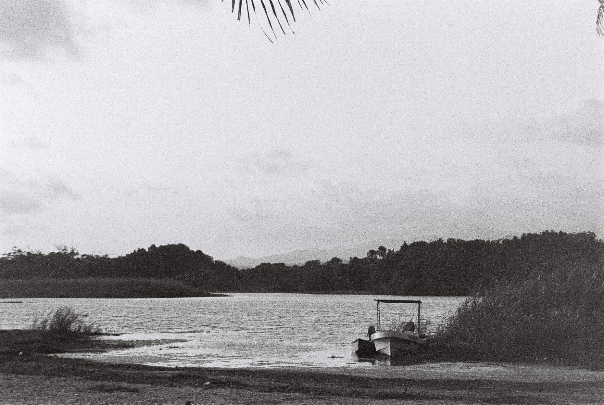 The lagoon