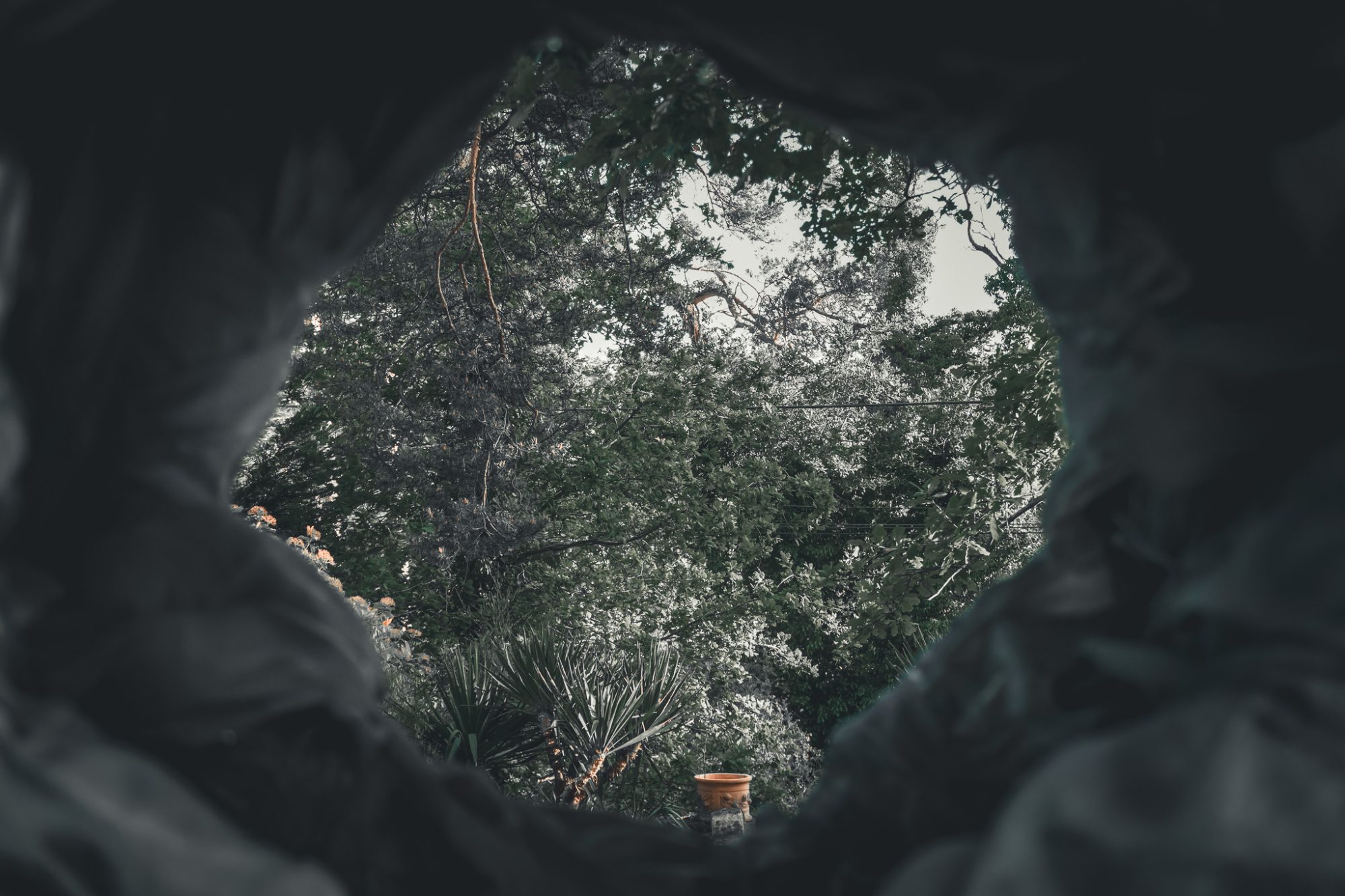 The garden seen through a torn hole in fabric